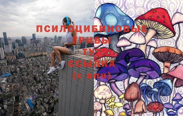 тгк Гатчина