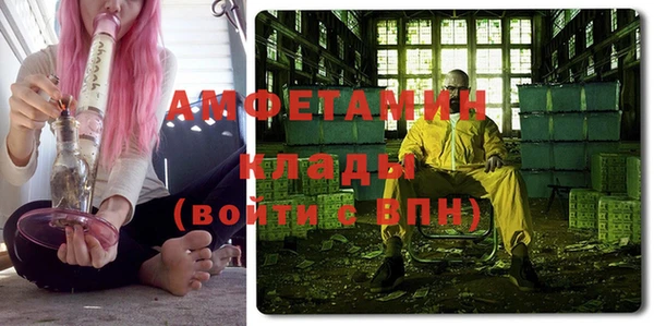 прущие грибы Осинники