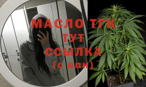 ПСИЛОЦИБИНОВЫЕ ГРИБЫ Галич