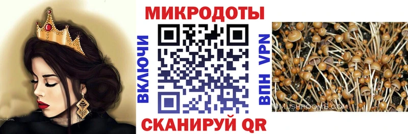 Галлюциногенные грибы Psilocybe Рудня